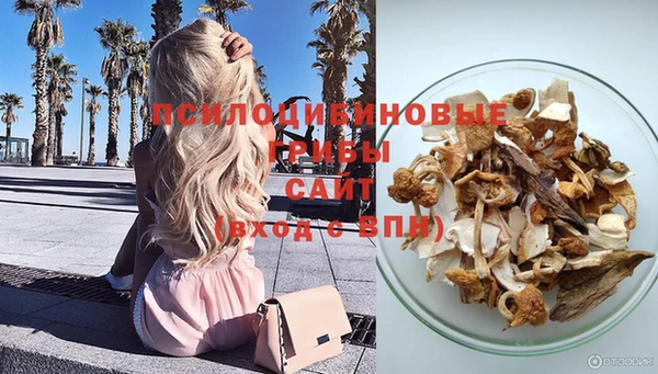 прущий лед Алексин