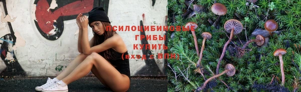 бутират Алзамай