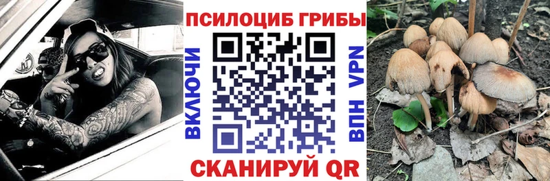 цены наркотик  Ханты-Мансийск  Галлюциногенные грибы Magic Shrooms 